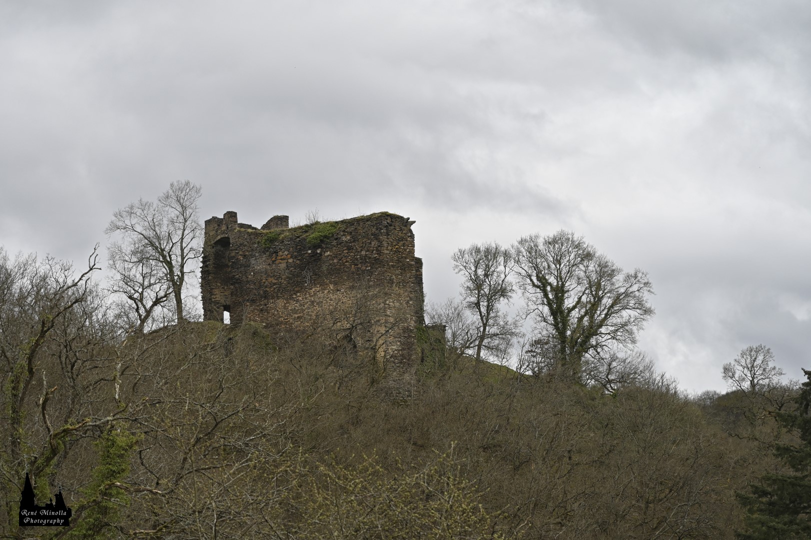 Burg Trutzeltz, Wierschem, Rheinland-Pfalz